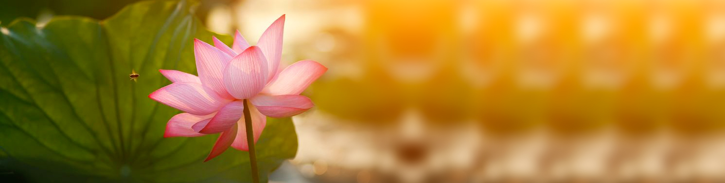 M�S DE 20 A�OS DE EXPERIENCIA NOS AVALA